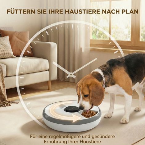 Distributeur de croquettes automatique sans fil, gamelle programmable jusqu'à 6 repas, écran LED, bloc réfrigérant gris (1/5)