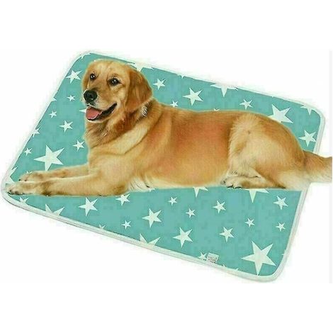 Tapis d'urine de chien réutilisable tapis d'entraînement pour animaux de compagnie tapis de couche absorbant respirant pour chien tapis de pipi pour chien (1/5)
