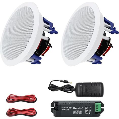 Haut-parleurs de Plafond de Salle de Bains Blanc (8 Ohms,300 Watts) (1/4)