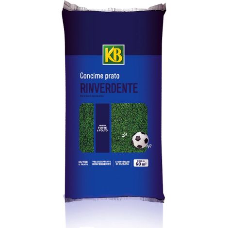 KB EVERGREEN RINVERDENTE Fe+N+S concime antimuschio con ferro per prato 5 KG
