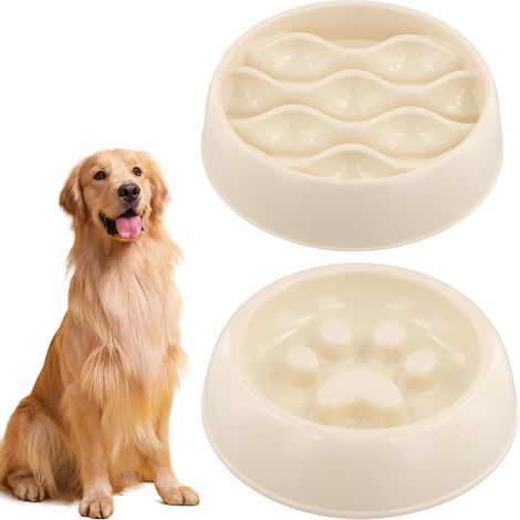 2 gamelles anti-glouton/vomissement, ralentisseurs eau/nourriture petite/moyenne taille