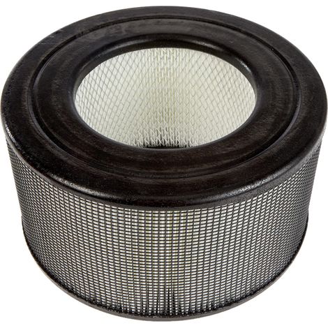 Honeywell CP170-hep - Filtro HEPA per modello HA170E (1/4)