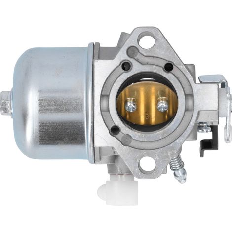 Carburatore in alluminio compatibile con 699831 694941 499158 – Ricambio di alta qualità, kit con guarnizioni (1/5)