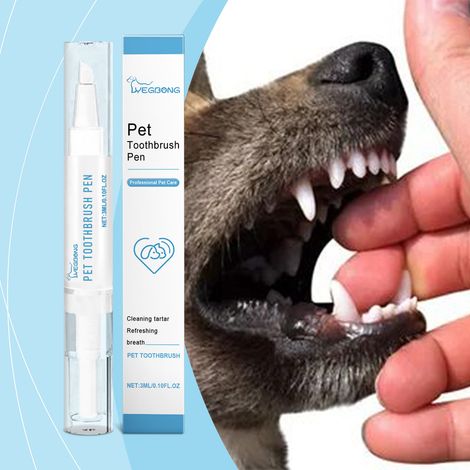 Brosse dentaire pour animaux - nettoie les dents, élimine la plaque dentaire et laisse les dents propres et fraîches - 3 ml (1/5)