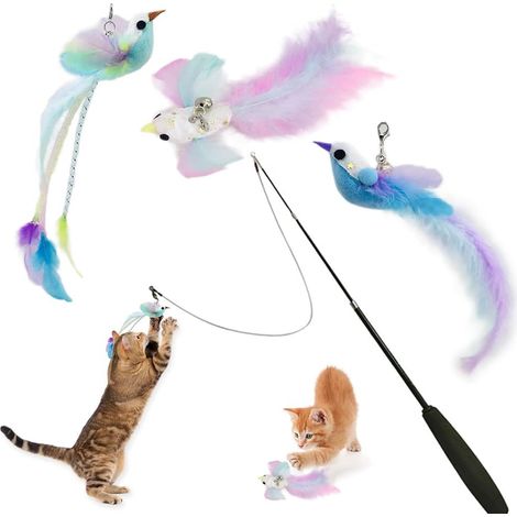 Ensemble de jouets pour chat avec 3 cannes à pêche remplaçables de différentes formes, jouet en plumes pour chat équipé d'une cloche, et une canne télescopique – Parfait pour les chats pour (1/5)