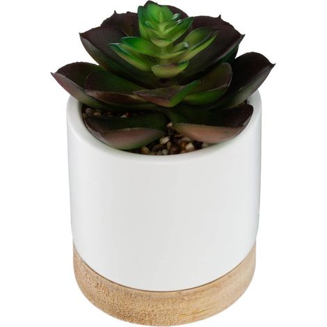 Künstliche Sukkulente - Keramiktopf - H12 cm
