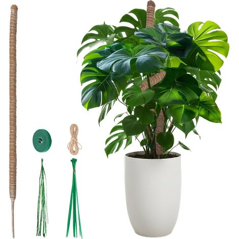 Tuteur Monstera en Mousse pour Plantes, Tige de Coco Flexible 120cm Version Audacieuse pour Grandes Plantes Grimpantes, Tuteur en Mousse Fait Main avec Accessoires pour Plantes d'Intérieur (1/5)