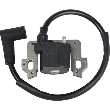 Module de Bobine D'allumage Compatible avec Honda GCV135 GCV160 GCV190 GSV160, Bobine Allumage, Bobine de Rechange Compatible (1/5)