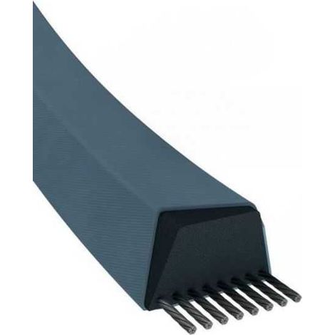Courroie tondeuse A43 trapézoïdale  13 x 1130 mm (1/5)