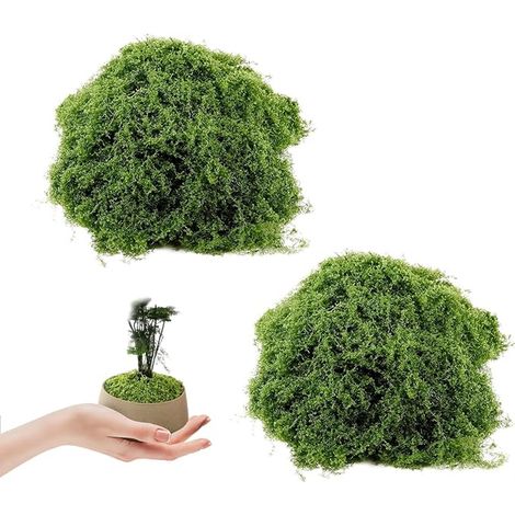 Mousse Artificielle pour Décorer Mousse Terrarium Décoration Florale Artificielle Murale Fausse Plante Bricolage Faux Gazon Extérieur Doux Réaliste Réutilisable (1/4)