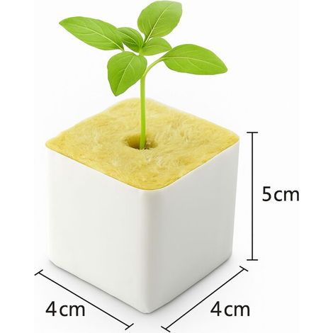 Steinwolle Anzuchtwürfel 4 x 4 cm 2250 Stück Hydroponik Wurzelwürfel Keimung (1/5)