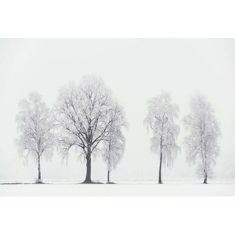 Papier peint panoramique campagne pour chambre | Tapisserie panoramique nature pour bureau | Papiers peints panoramique paysage hivernal - 270 x 400 cm (4 pièces) (1/2)