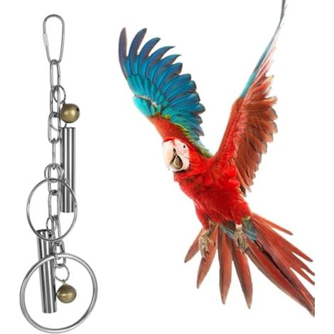 Jouets Rotatifs pour Perruches,Cage a Oiseaux en Acier Inoxydable avec Cloches Suspendues pour Perruches,Calopsittes,Cacatoès Gris D'Afrique,Perroquets de Petite a Grande Taille (1/5)