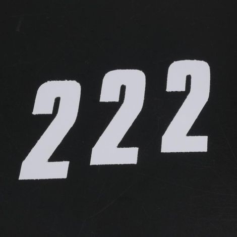 sticker aufkleber nummer rennen zwei 2 weiß blackbird 100x44 für (1/2)