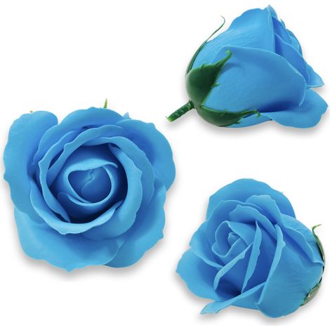 Blaue Seifenrose (1/5)
