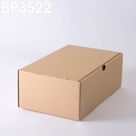 Lot de 5 boîtes postales brunes 350x220x130 mm – Couvercle charnière – 20kg de résistance – 100% recyclable – Livrées à plat pour stockage – Enveloppebulle