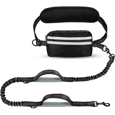 Laisse rétractable pour chien avec poignée ergonomique rembourrée, coutures réfléchissantes et verrou de sécurité, longueur ajustable pour chiens moyens et grands.