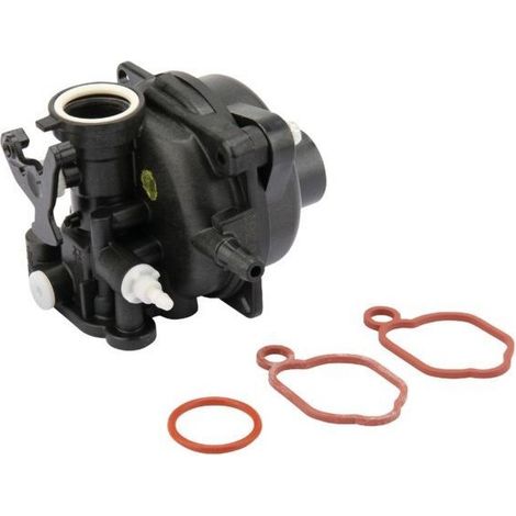 591160 - Carburateur Complet pour Moteur BRIGGS et STRATTON