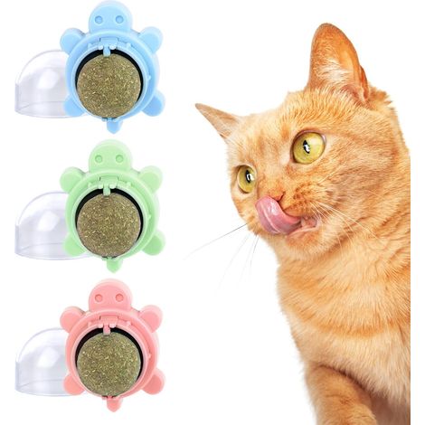 Boules d'herbe à Chat,3 Pièces Boule Herbe a Chat, 360 Degrés Boule d'herbe à Chat,Boule Herbe a Chat Murale,Auto-adhésif Balle Murale Comestible pour Nettoient Les Dents (Tortue) (1/5)