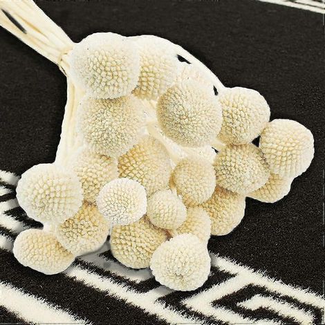 20 fleurs artificielles séchées Craspedia, fausses boules de fleurs séchées Billy Button pour la décoration de la maison, du bureau, des fêtes et des mariages (bleu) (doré, blanc, jaune) (1/5)