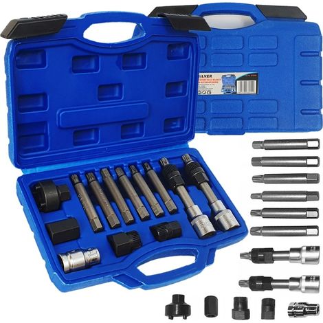 Jeu de clés Torx pour alternateur 13 pièces – Douilles T50 et SPLINE M10 – Pour desserrer boulons de poulie avec embrayage – Silver