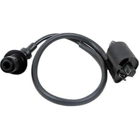 Bobine d'allumage pour moto avec fil et capuchon de bougie, noire (1/5)