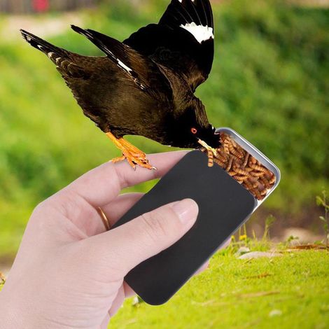 Matte Black Parrot Training Feeding Box Anti-Slip Cage Mount Bird Feeding Container