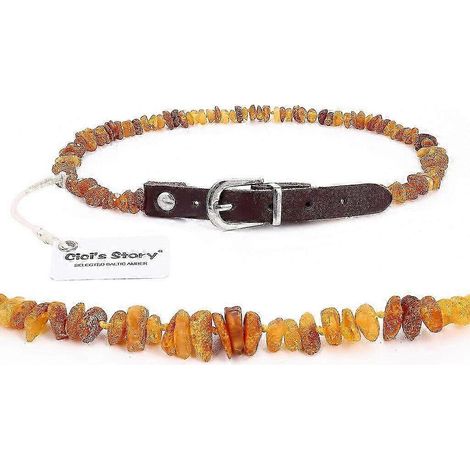 Collier en ambre ajustable pour chien et chat, bracelet en cuir testé en laboratoire (1/5)