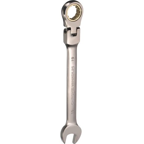 Clé Combinée À Crémailière À Tête Flexible 19mm Métrique 72 Dents (1/5)