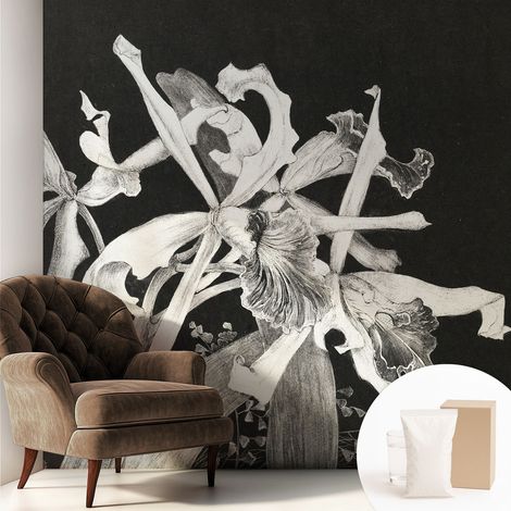 Papier peint intissé classique moderne pour salon et chambre à coucher Décoration rapide avec colle Illustration d'orchidée 250x250 cm (1/5)
