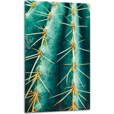 Piano del tavolo in vetro 30x52 con cactus (1/5)