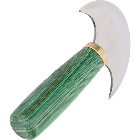 Couteau rond en cuir semi-circulaire, fait main, vert, petit, à double tranchant, avec manche poli et outil de sculpture (1/5)