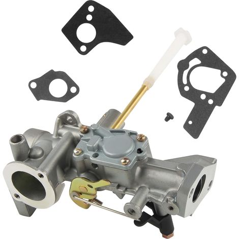 498298 Carburateur pour BS 692784 495951 495426 112202 112232 134202 137202 133212 130202 5HP (1/5)