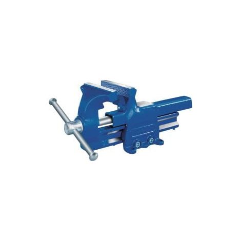Étau  parallèle  Mâchoires-L.100mm  Ouverture-L.125mm  forgé  TW (1/2)