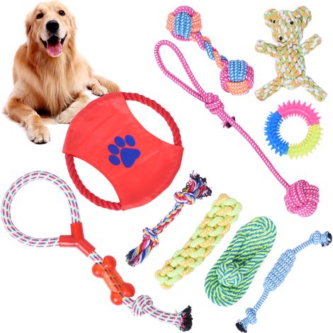 Ensemble de 10 jouets pour chien Dylan (1/5)