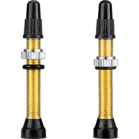 Tige de valve tubeless, outil de démontage d'obus de valve tubeless en laiton de qualité (2 pièces, or) (1/4)