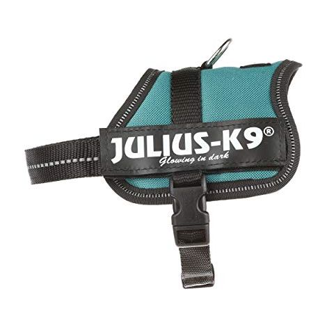 Pettorina Julius K9 Powerharness (DE) - Pettorina Julius K9 Powerharness (DE) - Verde Smeraldo, XXS / Baby 2 (33-45cm) (1/4)