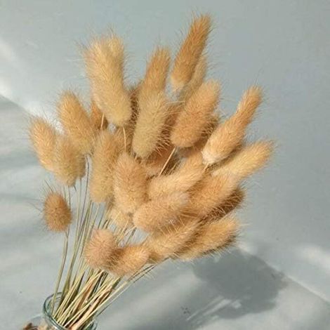 Lot De 50 Bouquets De Fleurs Séchées - Fleurs Éternelles Séchées - Herbe Séchée - Accessoires Pour Photo - Fête Et Mariage - Couleur Primaire