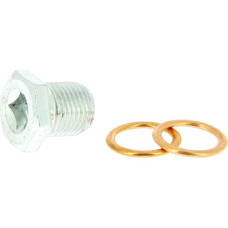 XLTECH 1 bouchon de vidange + 2 joints PSA-Renault M16 (1/5)