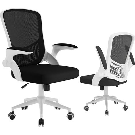 Ergonomic Office Chair Mesh Desk Chair with Storage Back Flip-Up Arms Black and White (1/5)