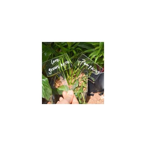1 lot de 12 étiquettes pour jardinières - rectangulaires, étiquettes en plastique, plantes miniatures, panneaux pour plantes potagères, piquets pour étiquettes de jardin (1/5)