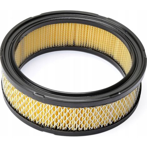 FILTRE À AIR BRIGGS&STRATTON VANGUARD 2 CYLINDRE 392642, 394018S