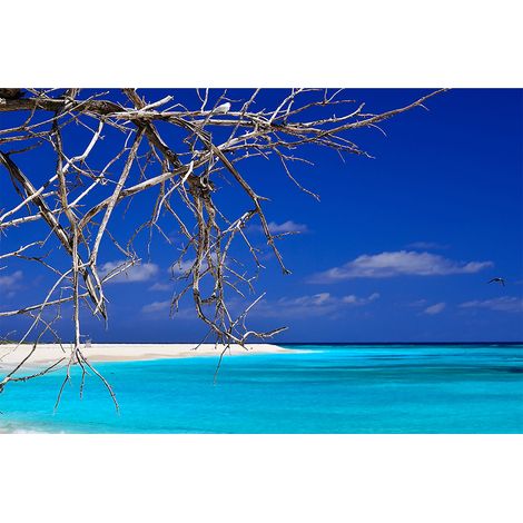 Papier peint panoramique mer idéal pour salle de bain Tapisserie panoramique bleue trompe l'oeil Papier peint panoramique turquoise (1/2)