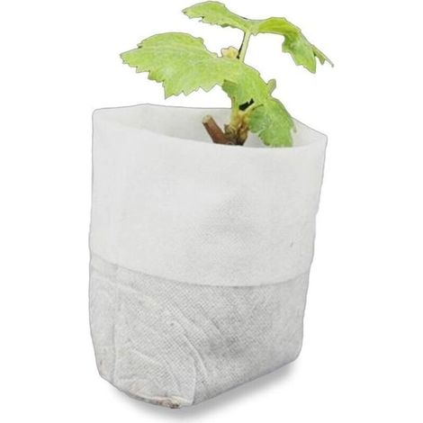 Biodegradable non-woven fabric grow bags – 500 units, white, 8 × 10 cm, ideal for tomato seedlings, flowers and plants