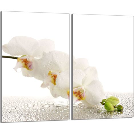 Piastra protettiva in vetro per stufa 2x30x52 Orchidea (1/5)