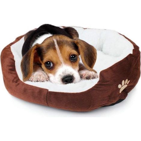 Tapis de nid en laine douce avec imprimé de patte mignon, confortable, pour chien, chat, chiot, chaton, lit (marron) (1/5)
