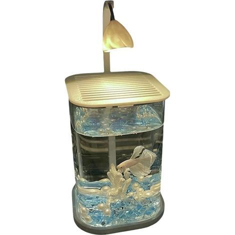 Aquarium de Bureau en Verre avec Éclairage LED, Décoration de Bureau Haut de Gamme pour la Pisciculture A (1/5)