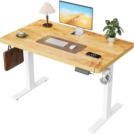 Elektrischer Schreibtisch 120x60cm mit 2 Motoren, höhenverstellbar, Hellbraun (1/5)