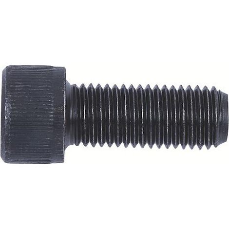 Befestigungsschraube für harte und weiche Aufsatzbacken 160/200 (1/4)