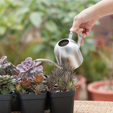 Arrosoir - Acier Inoxydable - Pour Jardin - 9,5 x 8,9 cm - 179 g (1/4)